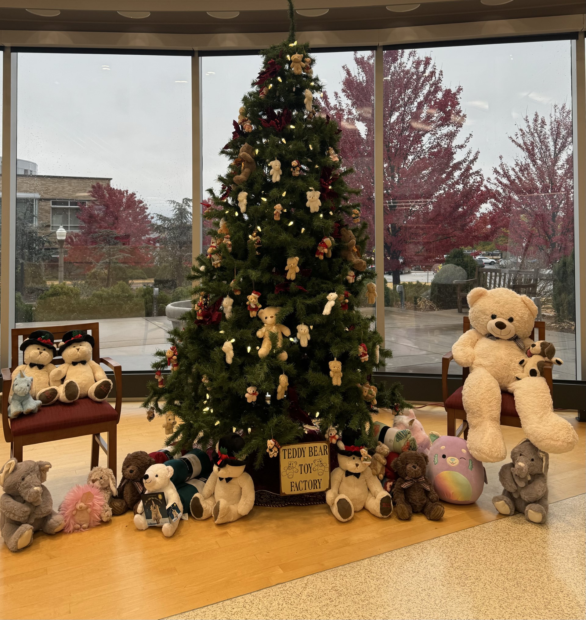 Janet Minnerath Teddy Bear Tree at Schusterman Library